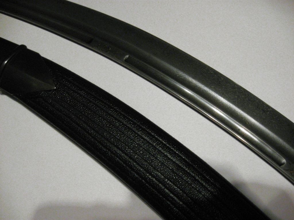 ������. ������. 19 ���. �����.